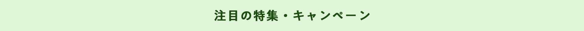 注目の特集・キャンペーン