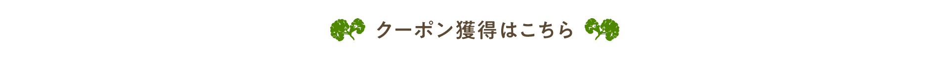 クーポン獲得はこちら
