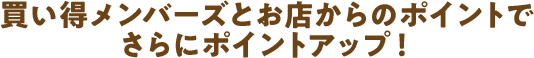 買い得メンバーズとお店からのポイントでさらにポイントアップ!