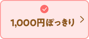 1,000円ぽっきり