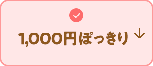 1,000円ぽっきり