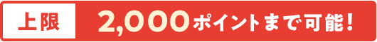 上限2,000ポイントまで可能!