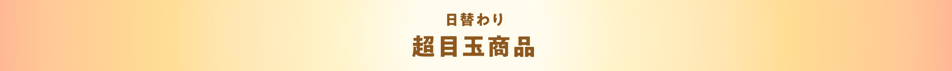 日替わり 超目玉商品