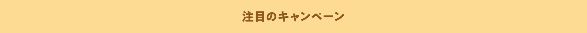 注目のキャンペーン