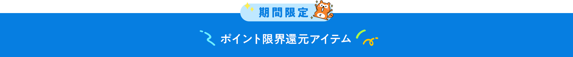 期間限定 ポイント限界還元アイテム
